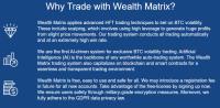 Wealth Matrix image 3